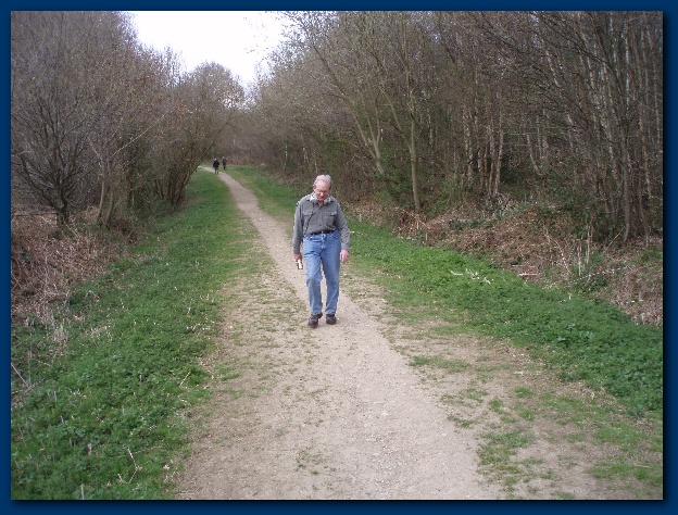 600x449 pixels (171K)